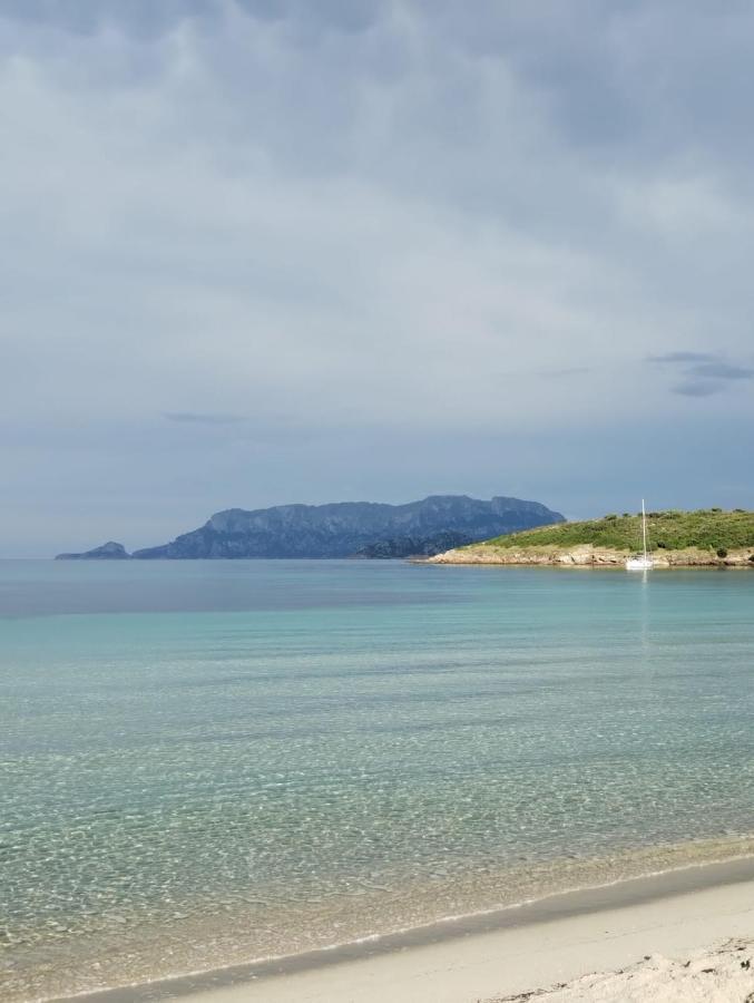 La Dolce Dimora * Olbia