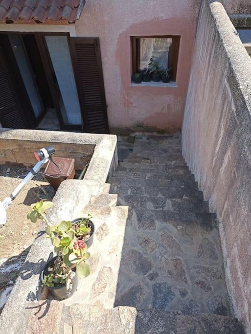La Dolce Dimora Apartment *